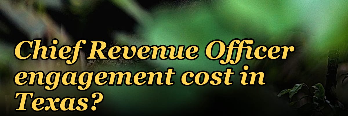 What does a fractional Chief Revenue Officer engagement cost in Texas?