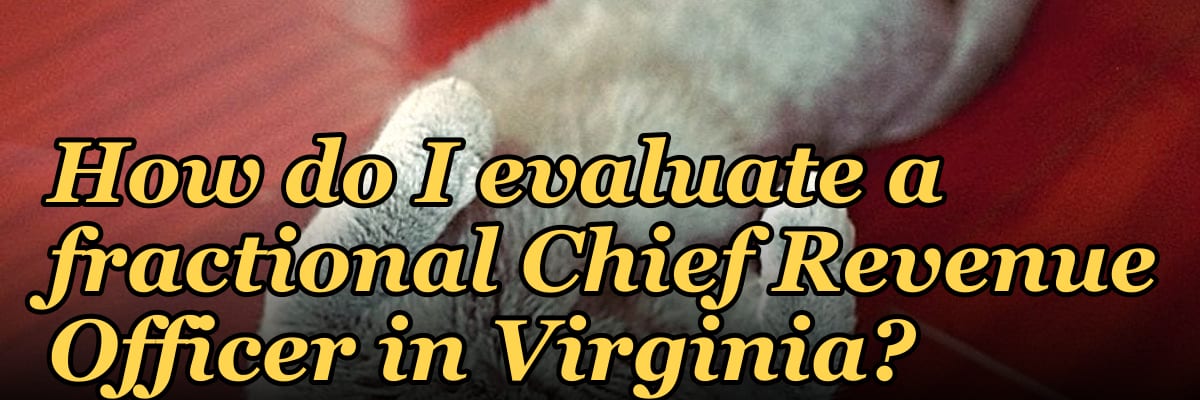 How do I evaluate a fractional Chief Revenue Officer in Virginia?