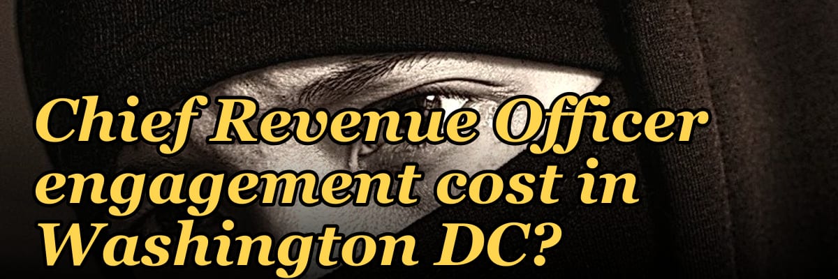 What does a fractional Chief Revenue Officer engagement cost in Washington DC?