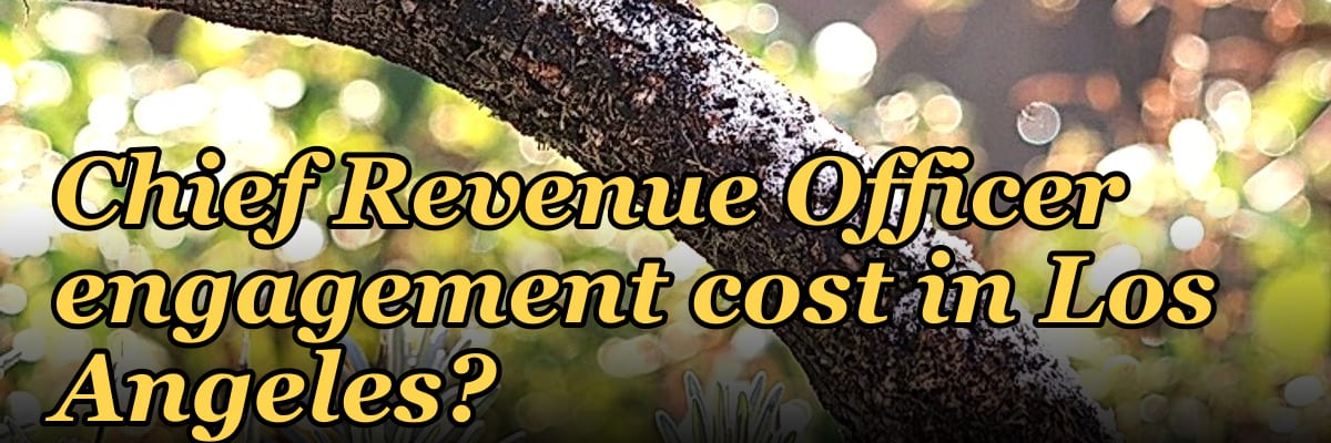 What does a fractional Chief Revenue Officer engagement cost in Los Angeles?