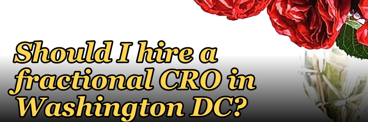 Should I hire a fractional CRO in Washington DC?