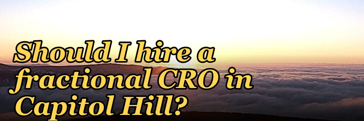 Should I hire a fractional CRO in Capitol Hill?
