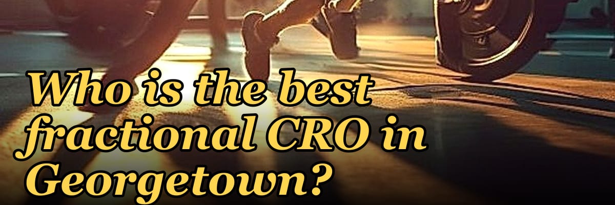 Who is the best fractional CRO in Georgetown?