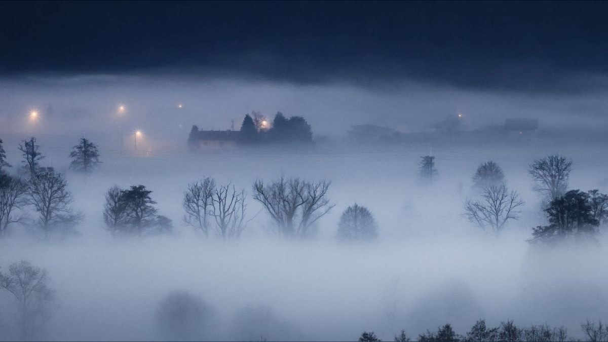 What does a fractional CRO cost in Foggy Bottom in 2027?