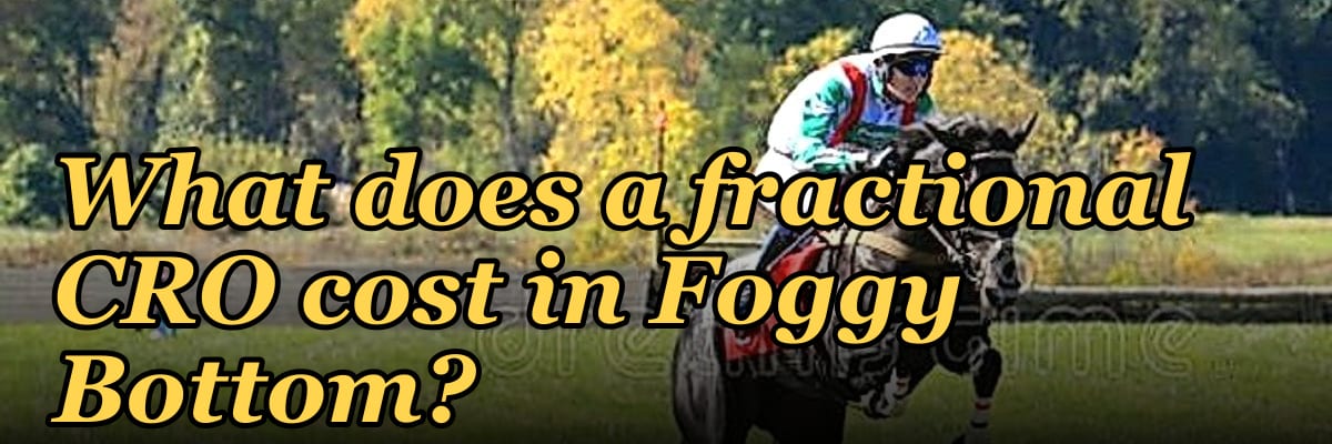 What does a fractional CRO cost in Foggy Bottom?