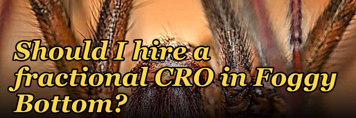Should I hire a fractional CRO in Foggy Bottom?