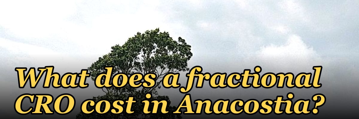 What does a fractional CRO cost in Anacostia?