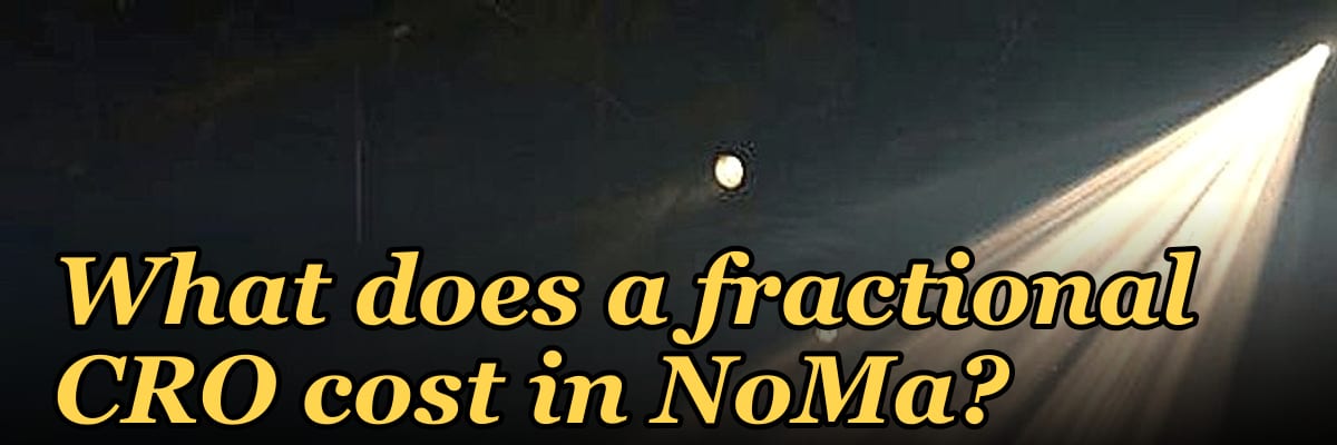 What does a fractional CRO cost in NoMa?