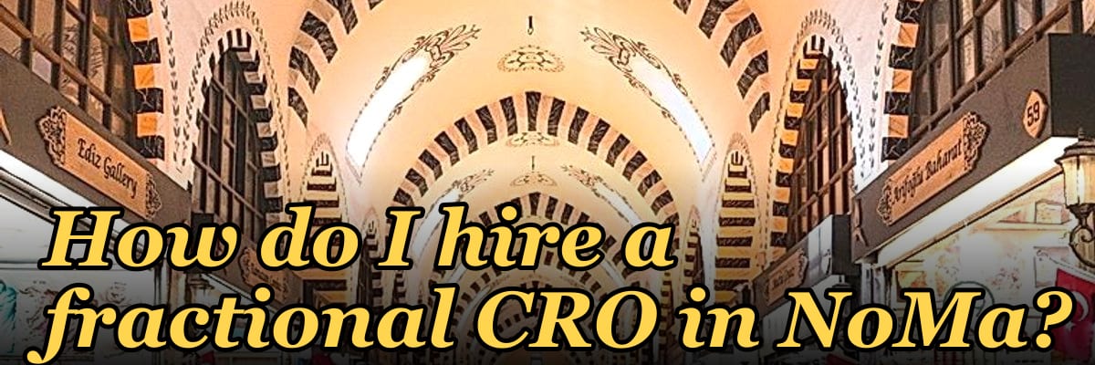 How do I hire a fractional CRO in NoMa?