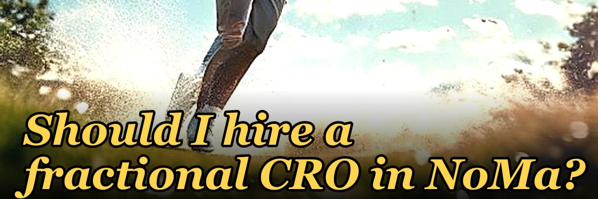 Should I hire a fractional CRO in NoMa?