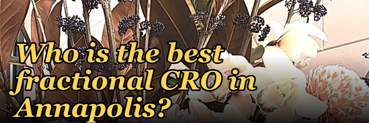 Who is the best fractional CRO in Annapolis?