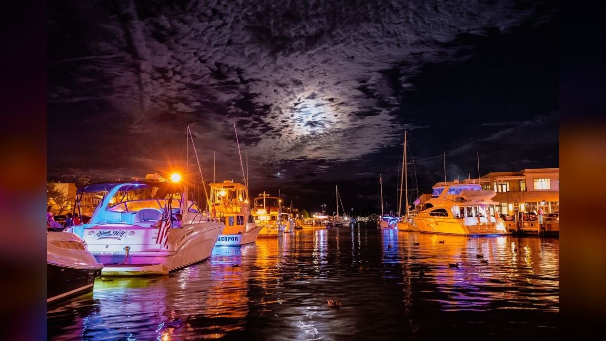 Should I hire a fractional CRO in Annapolis in 2027?
