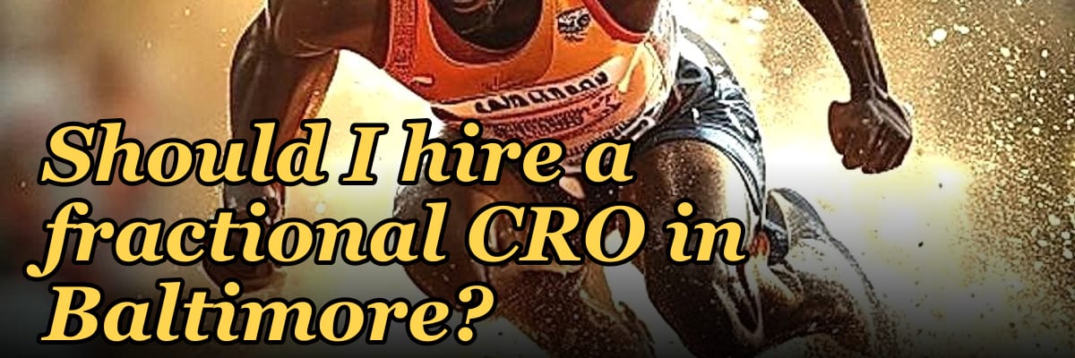 Should I hire a fractional CRO in Baltimore?