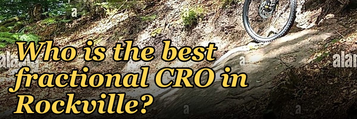 Who is the best fractional CRO in Rockville?