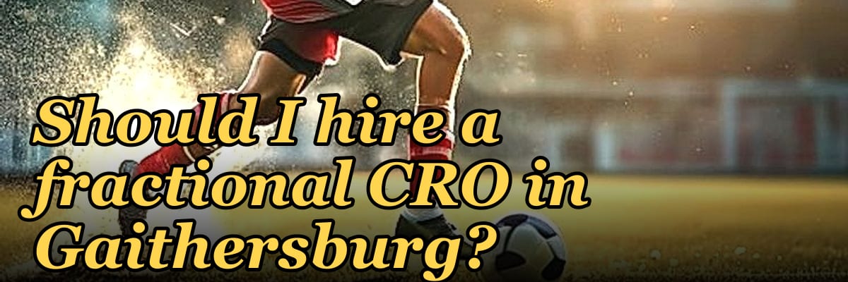 Should I hire a fractional CRO in Gaithersburg?