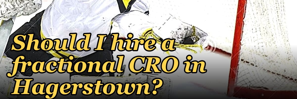 Should I hire a fractional CRO in Hagerstown?