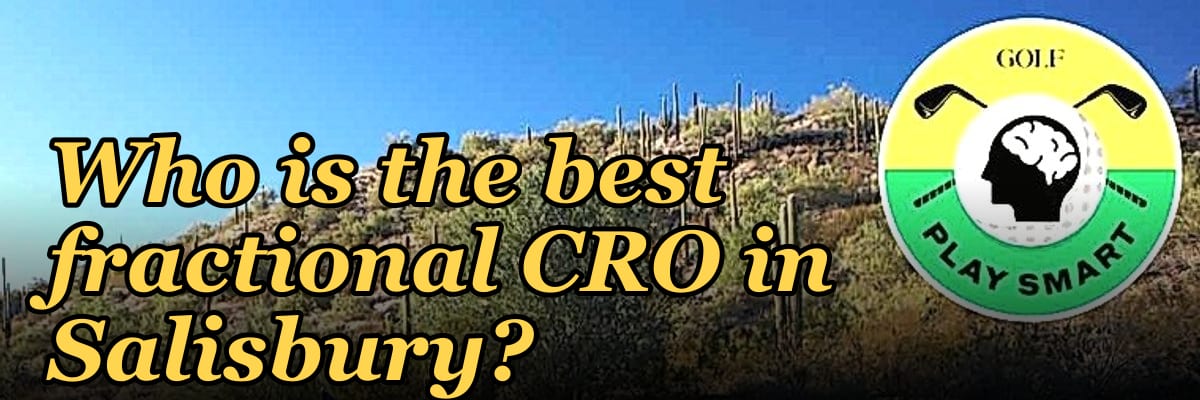Who is the best fractional CRO in Salisbury?