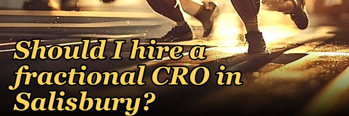 Should I hire a fractional CRO in Salisbury?