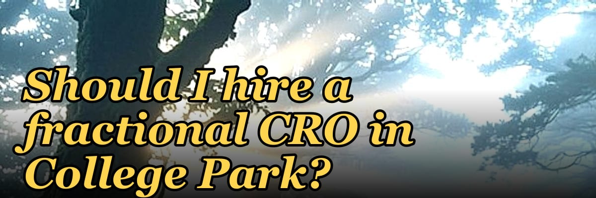 Should I hire a fractional CRO in College Park?