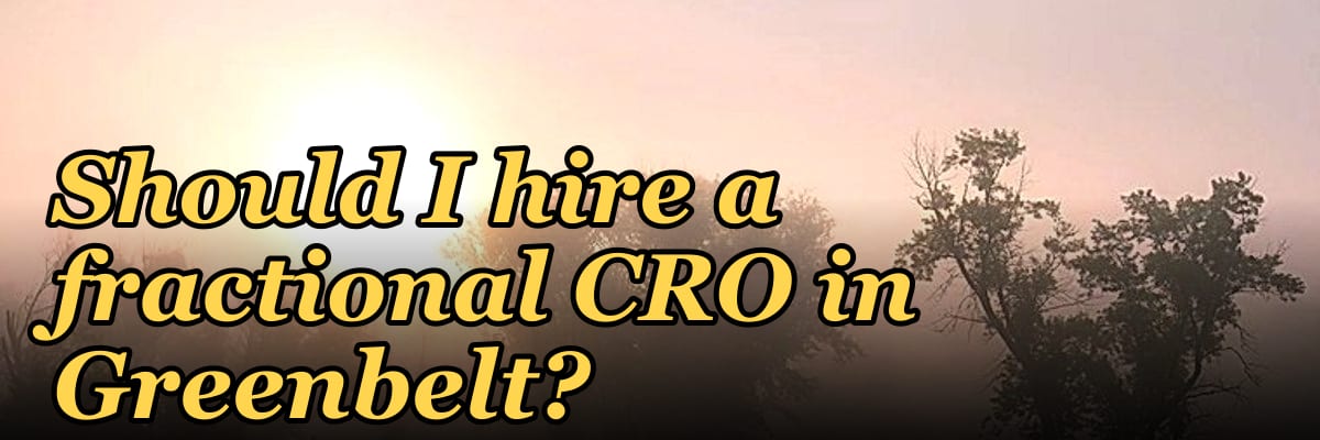 Should I hire a fractional CRO in Greenbelt?