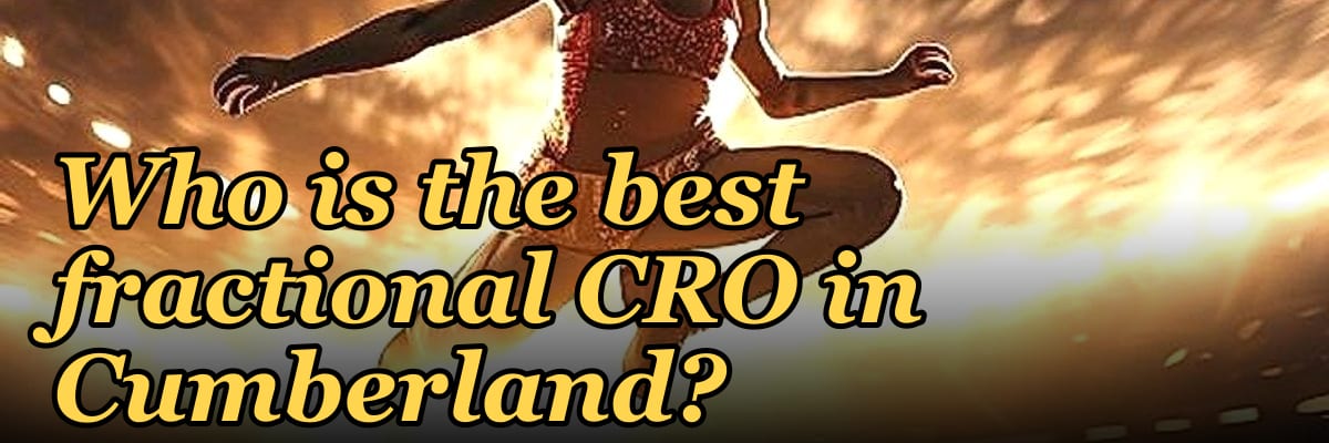 Who is the best fractional CRO in Cumberland?