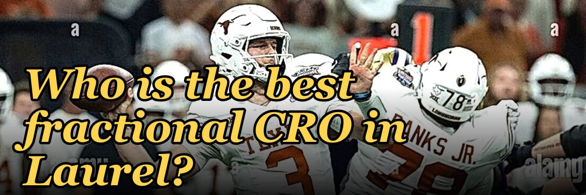 Who is the best fractional CRO in Laurel?