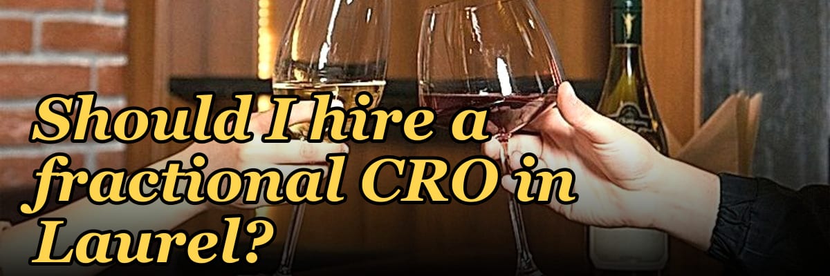 Should I hire a fractional CRO in Laurel?