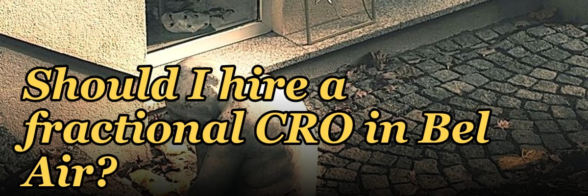 Should I hire a fractional CRO in Bel Air?