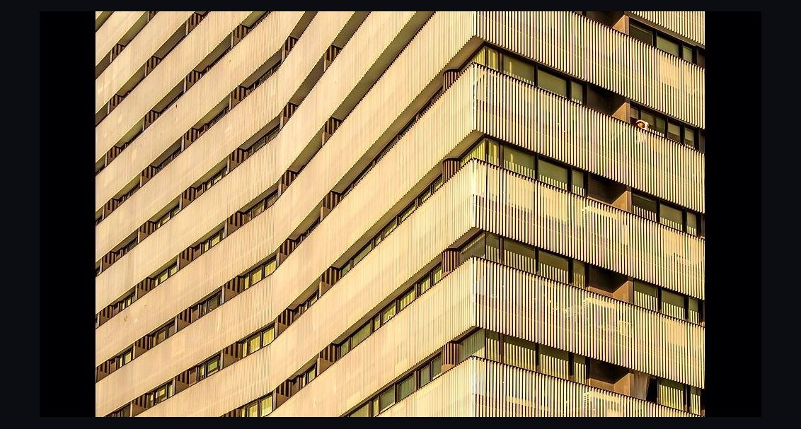 Who is the best fractional CRO in Bethesda in 2027?