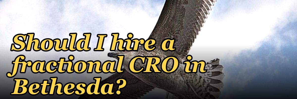 Should I hire a fractional CRO in Bethesda?