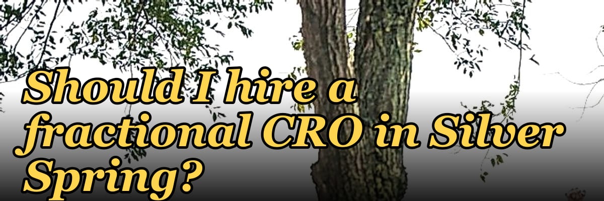 Should I hire a fractional CRO in Silver Spring?