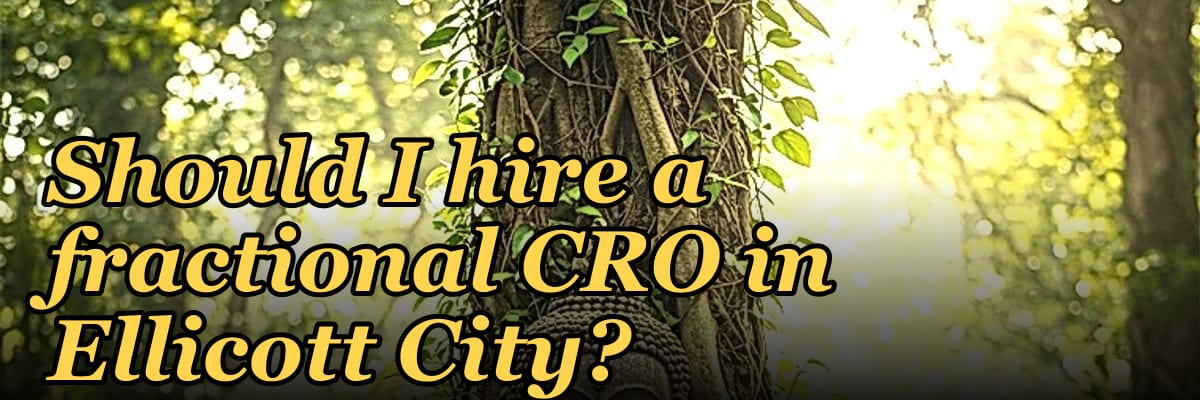 Should I hire a fractional CRO in Ellicott City?