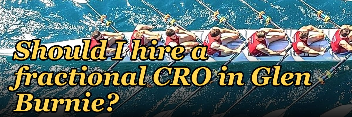 Should I hire a fractional CRO in Glen Burnie?