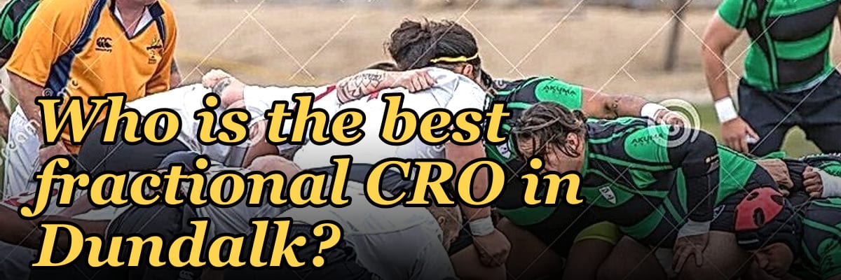 Who is the best fractional CRO in Dundalk?