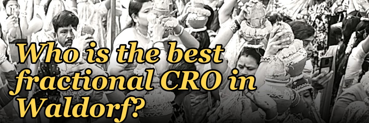 Who is the best fractional CRO in Waldorf?