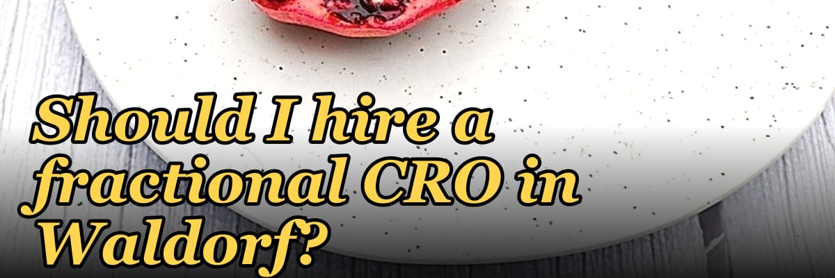 Should I hire a fractional CRO in Waldorf?