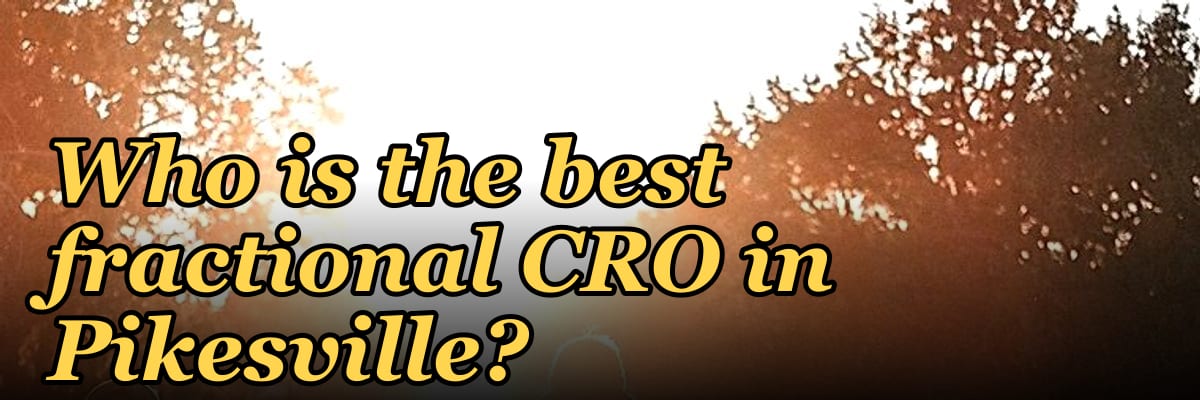 Who is the best fractional CRO in Pikesville?