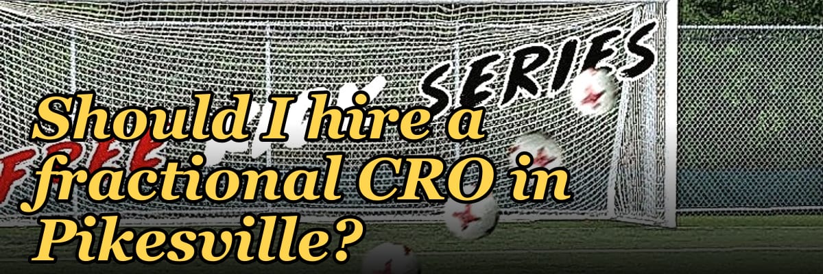 Should I hire a fractional CRO in Pikesville?