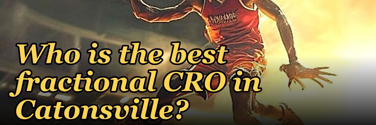 Who is the best fractional CRO in Catonsville?