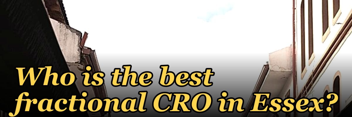 Who is the best fractional CRO in Essex?