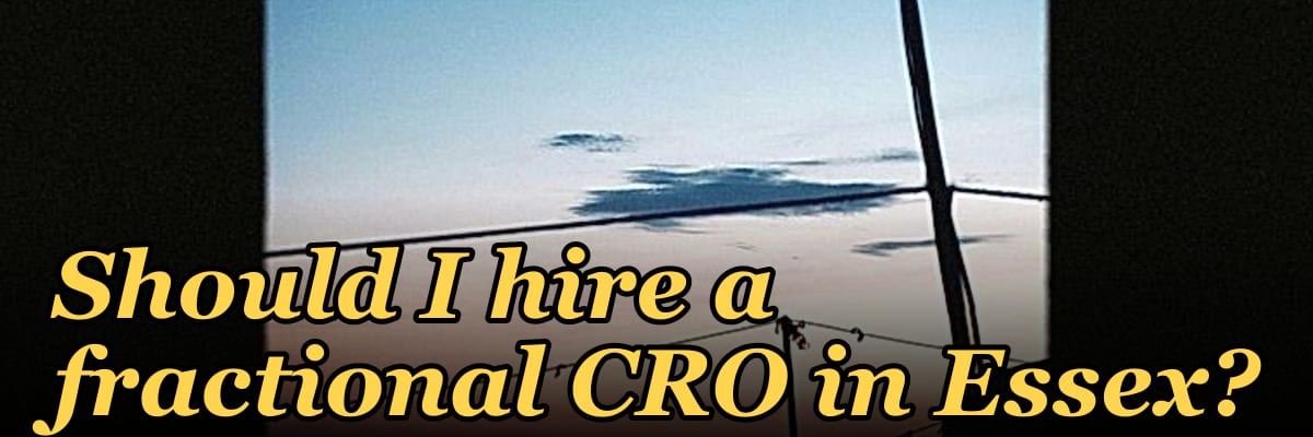 Should I hire a fractional CRO in Essex?