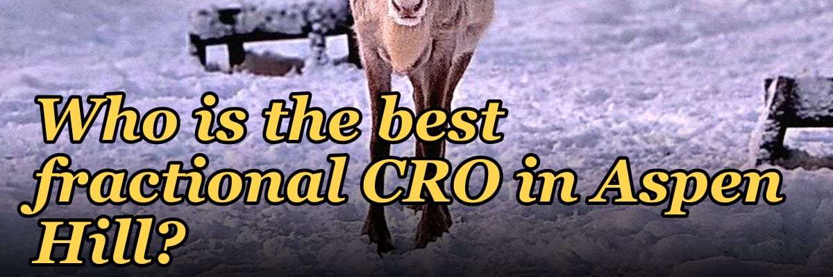 Who is the best fractional CRO in Aspen Hill?