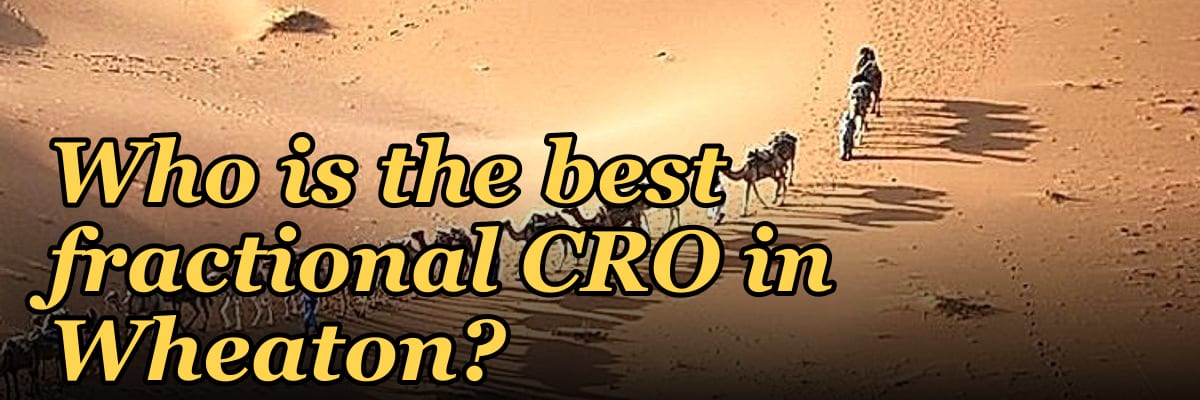 Who is the best fractional CRO in Wheaton?