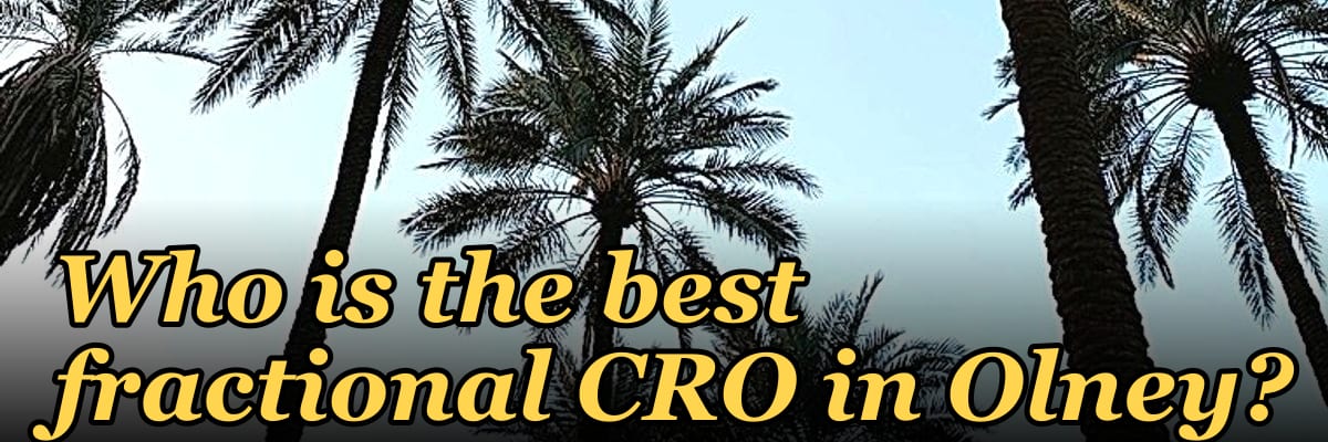 Who is the best fractional CRO in Olney?