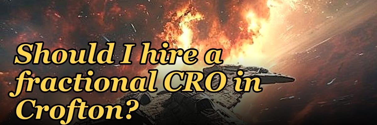 Should I hire a fractional CRO in Crofton?
