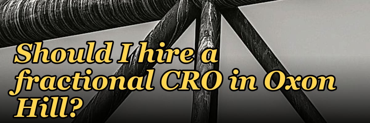 Should I hire a fractional CRO in Oxon Hill?