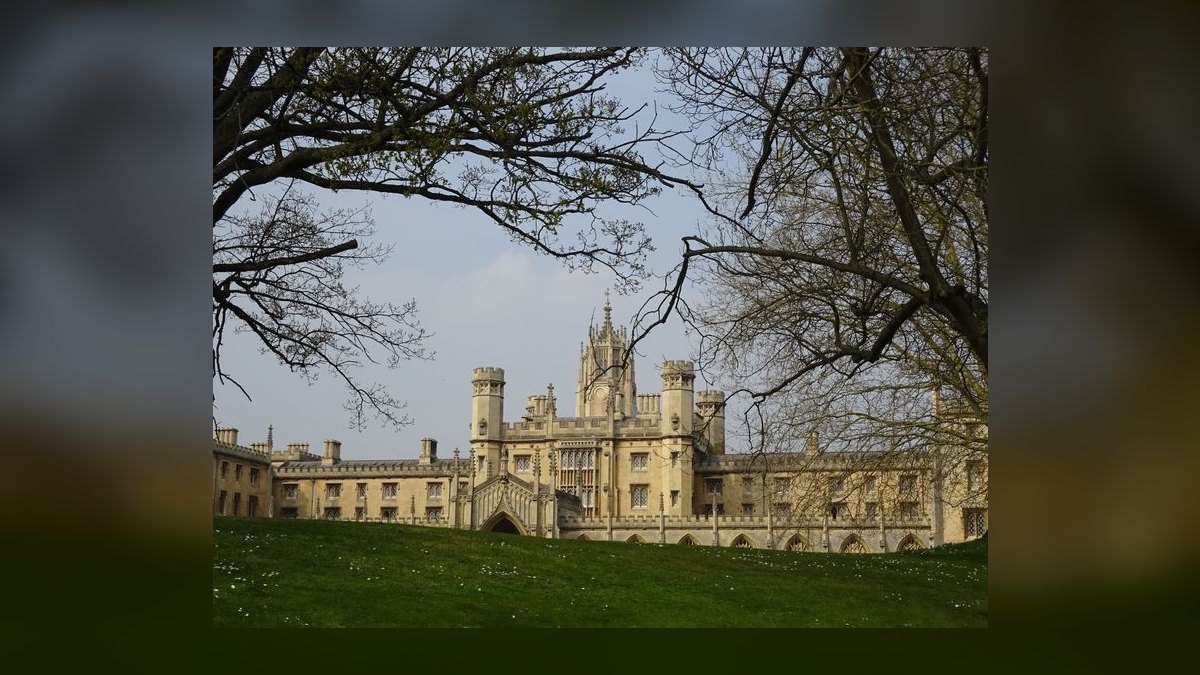 Who is the best fractional CRO in Cambridge in 2027 — figure 10