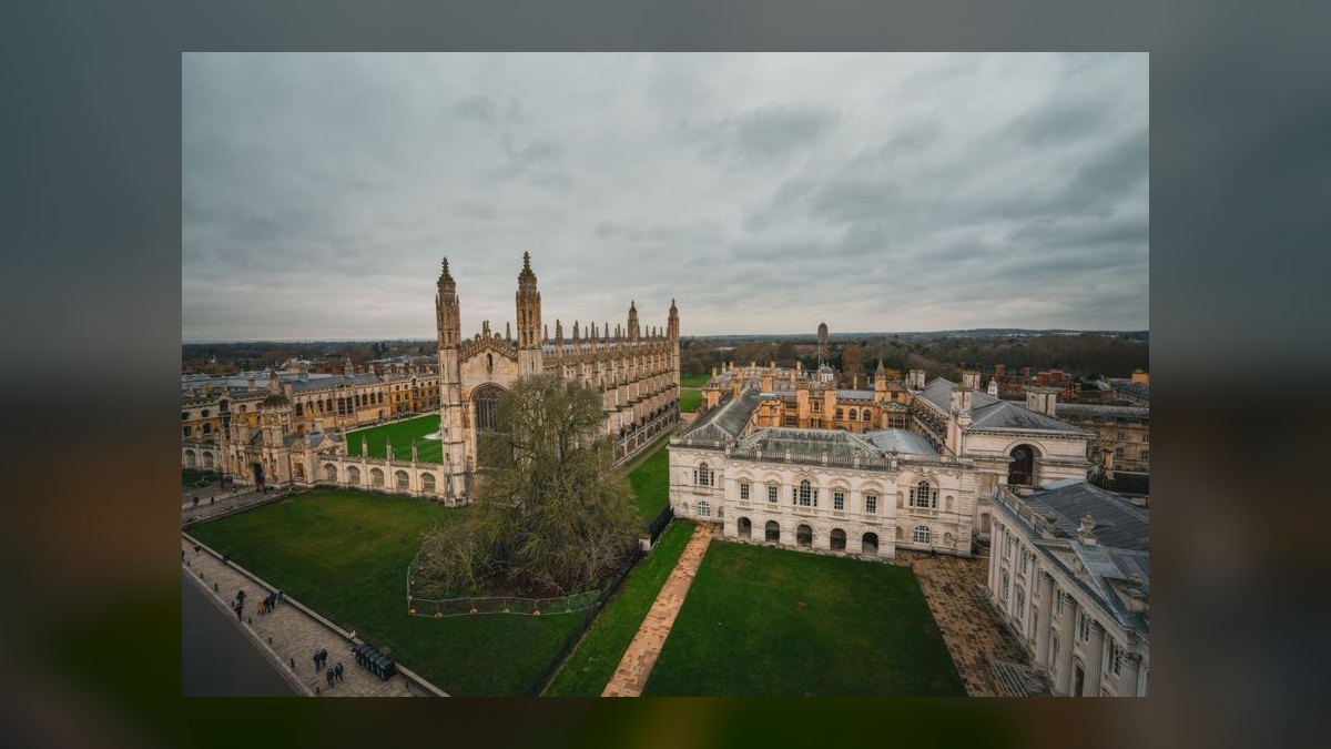 Who is the best fractional CRO in Cambridge in 2027 — figure 8