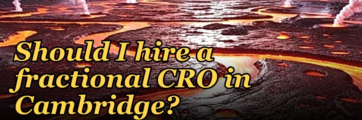 Should I hire a fractional CRO in Cambridge?