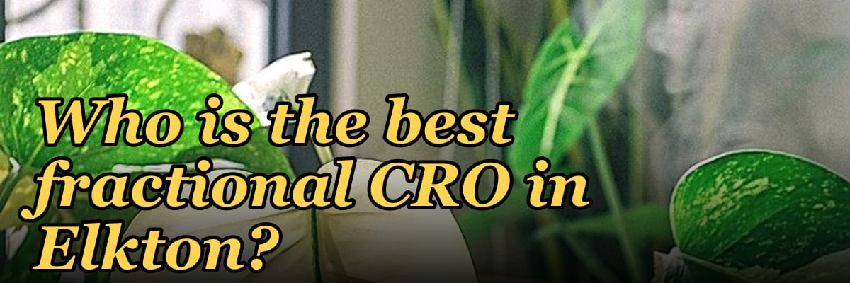 Who is the best fractional CRO in Elkton?